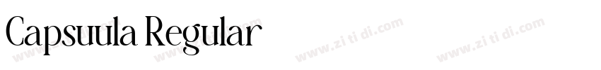 Capsuula Regular字体转换 Capsuula Regular字体转换